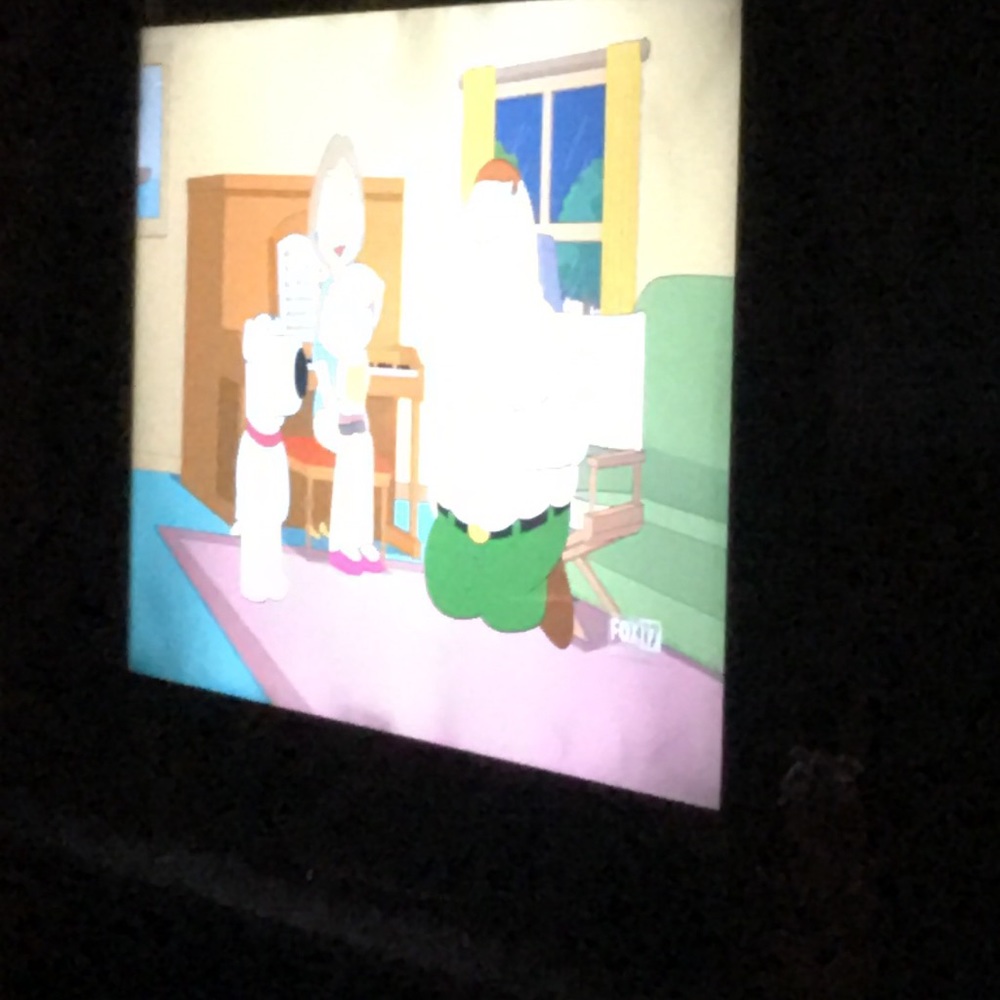 Meet your Posher, Rosie